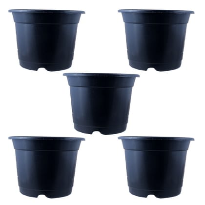 Buy Set of 05 - 4 Inch Black Nursery Pot Online | Urvann.com