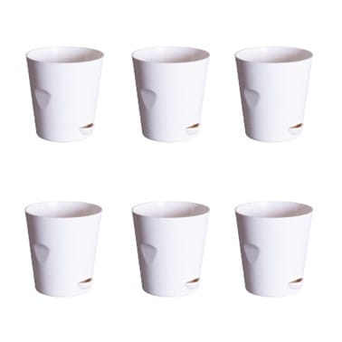 Set of 06 - 4 Inch White Florence Self Watering Pot