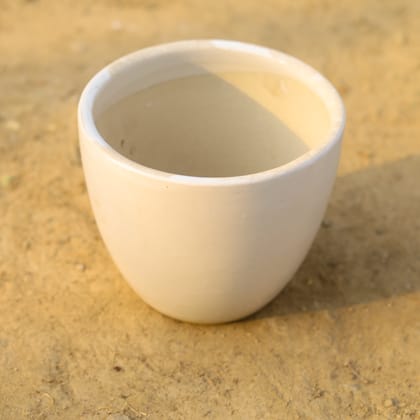 Buy 4 Inch Classy White Cup Ceramic Pot Online | Urvann.com