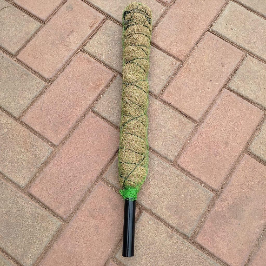 Moss Stick - 1.5 Ft