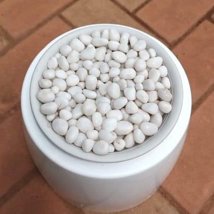 Buy Decorative White  Small Pebbles - 1 kg Online | Urvann.com