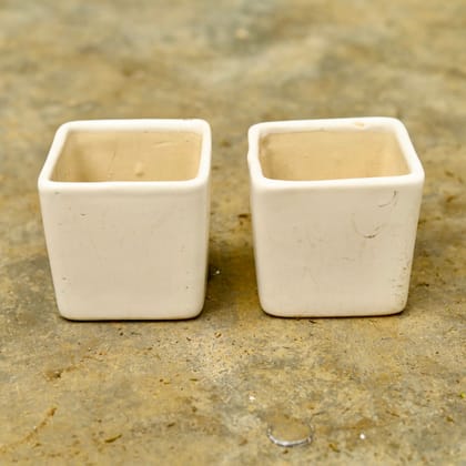Buy Set of 2 - 4 Inch White Classy Square Ceramic Pot Online | Urvann.com