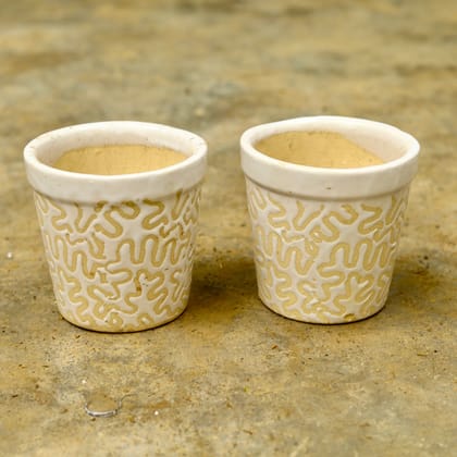 Buy Set of 2 - 5 Inch Classy White Designer Ceramic Pot  Online | Urvann.com