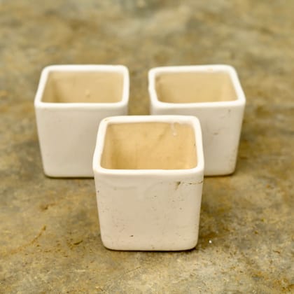 Buy Set of 3 - 4 Inch White Classy Square Ceramic Pot Online | Urvann.com