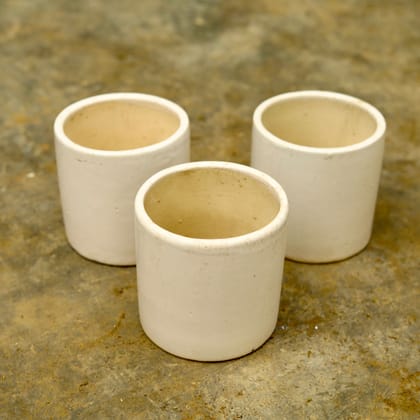 Buy Set of 3 - 5 Inch White Classy Cylindrical Ceramic Pot Online | Urvann.com