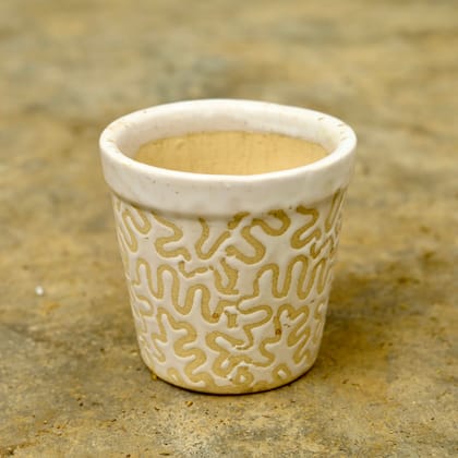 Buy 5 Inch Classy White Designer Ceramic Pot Online | Urvann.com