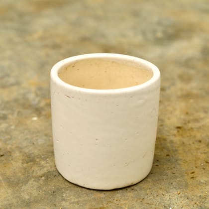 Buy 5 Inch White Classy Cylindrical Ceramic Pot Online | Urvann.com