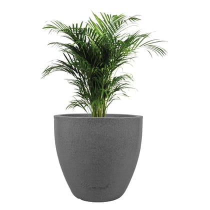 Buy 10 X 10 Inch Grey Premium Convessa Fiberglass Planter Online | Urvann.com