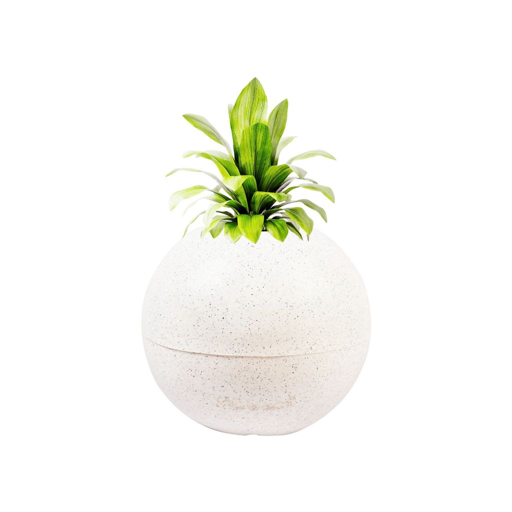 9 Inch White Premium llios Fiberglass Planter - Durable large size decoratiive fiber pot for indoor outdoor plants with 5 year warranty