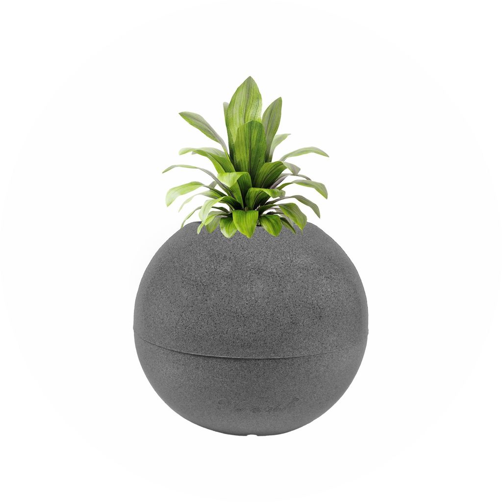 9 Inch Grey Premium llios Fiberglass Planter - Durable large size decoratiive fiber pot for indoor outdoor plants with 5 year warranty