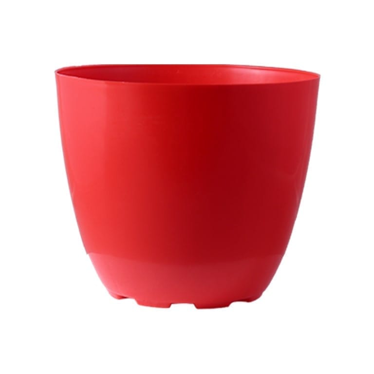 6 Inch Red Premium Orchid Round Plastic Pot