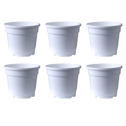 Buy Set of 06 - 4 Inch White Nursery Pot Online | Urvann.com