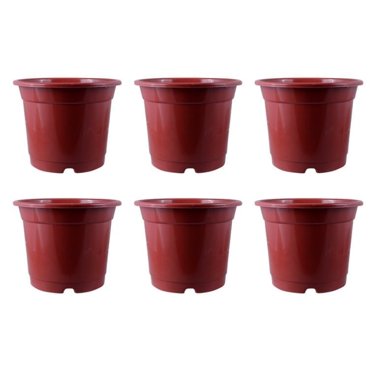 Set of 06 - 4 Inch Red Nursery Pot