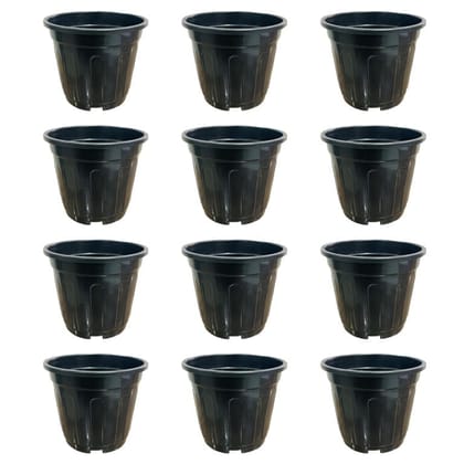 Buy Set of 12 - 6 Inch Black Super Nursery Pot Online | Urvann.com