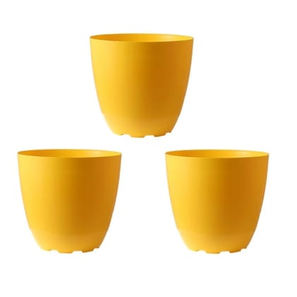 Set of 03 - 4 Inch Yellow Premium Orchid Round Plastic Pot