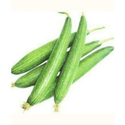 Buy Sponge Gourd / Tori Seeds - Excellent Germination Online | Urvann.com