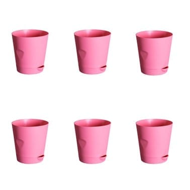 Buy Set of 06 - 4 Inch Pink Florence Self Watering Pot Online | Urvann.com