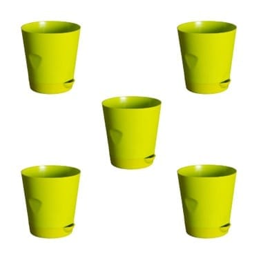 Buy Set of 05 - 4 Inch Green Florence Self Watering Pot Online | Urvann.com