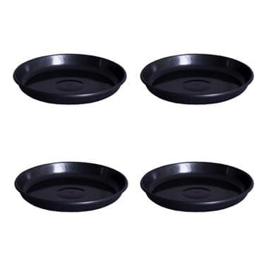 Buy Set of 12 - 6 Inch Black Premium Black Tray - To keep under the Pot Online | Urvann.com