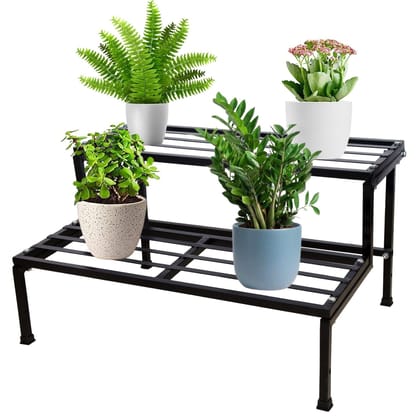 Buy 2 Ft Black Double Step Plant Stand - 1 Pcs Online | Urvann.com