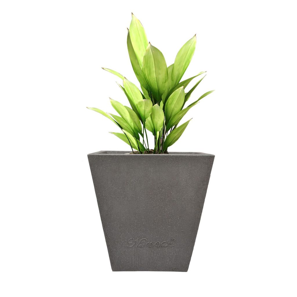 12 X 12 Inch Grey Premium Makris Fiberglass Planter - Durable large size decoratiive fiber pot for indoor outdoor plants with 5 year warranty