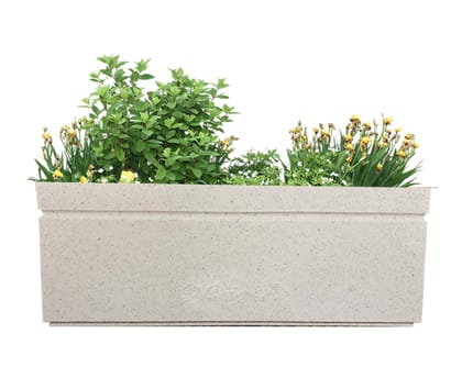 Buy 30 X 14 Inch White Premium Ortho Fiberglass Planter Online | Urvann.com