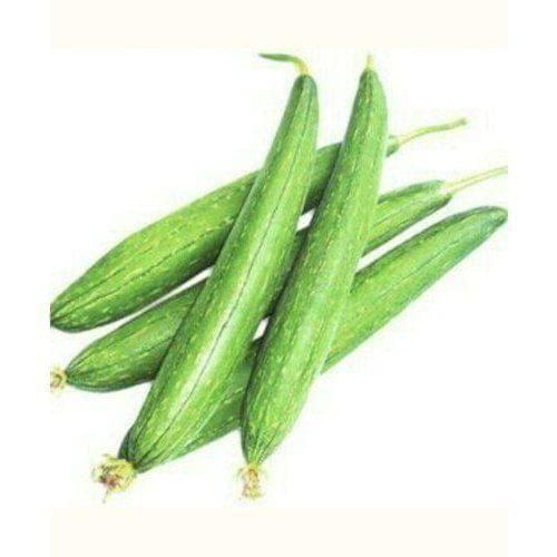 Sponge Gourd / Tori Seeds - Excellent Germination