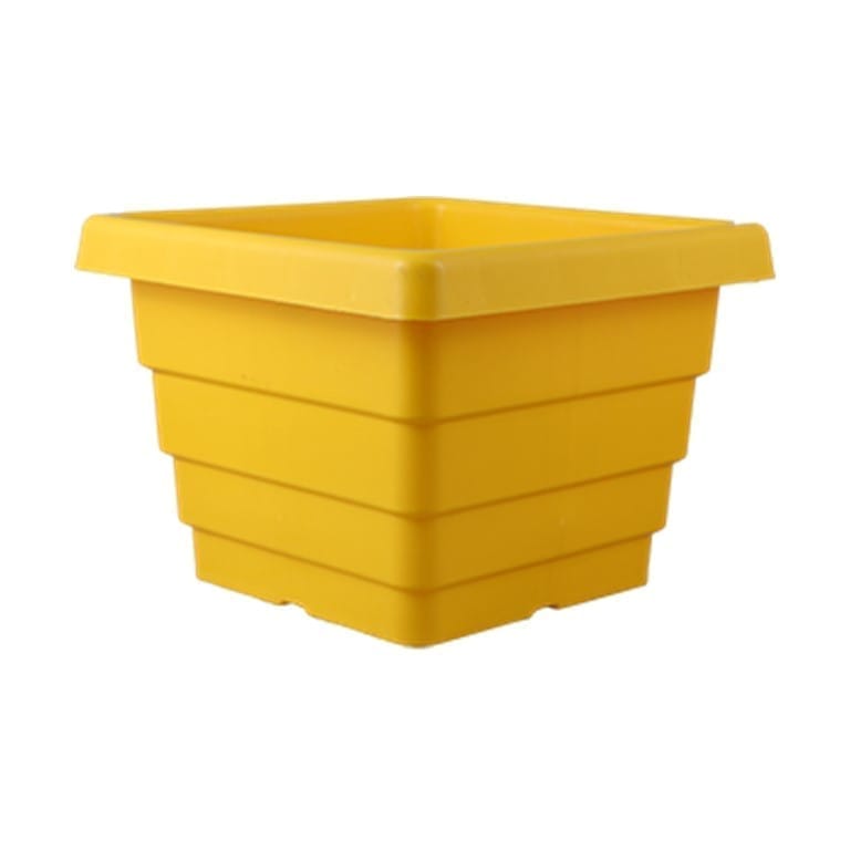 Free Gift - 4 Inch Yellow Premium Orchid Square Plastic Pot - Flash Sale