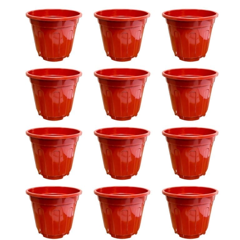 Set of 12 - 6 Inch Red Super Nursery Pot