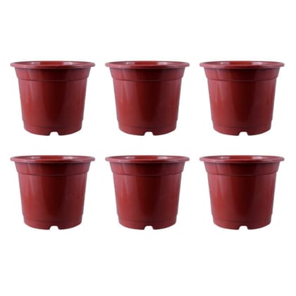 Buy Set of 06 - 4 Inch Red Nursery Pot Online | Urvann.com