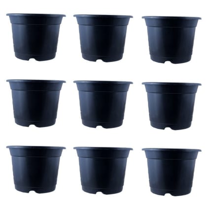 Buy Set of 09 - 4 Inch Black Nursery Pot Online | Urvann.com