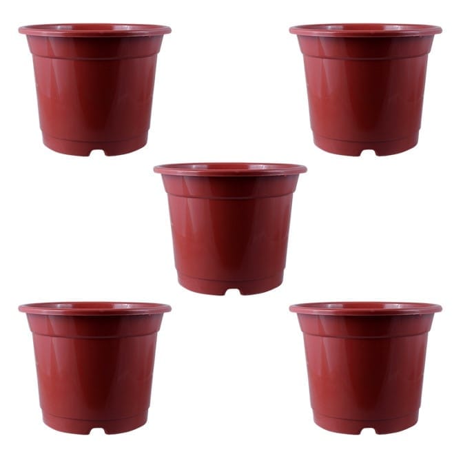 Set of 05 - 4 Inch Red Nursery Pot