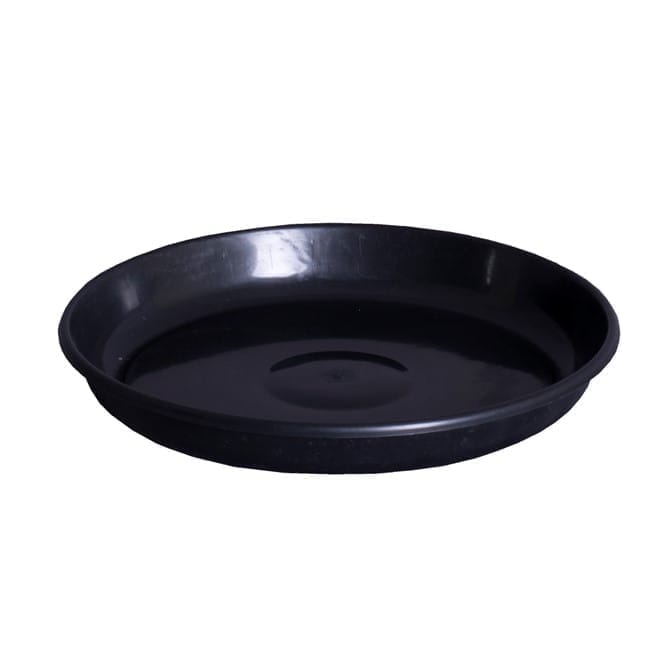 Free Gift - 6 Inch Black Premium Black Tray - To keep under the Pot - Flash Sale