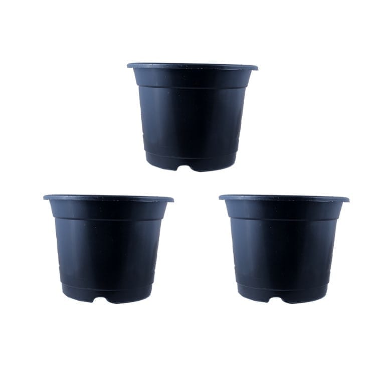 Set of 03 - 4 Inch Black Nursery Pot