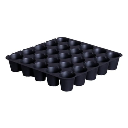 Buy Premium 0.8 mm Seedling Tray - 25 cells Online | Urvann.com