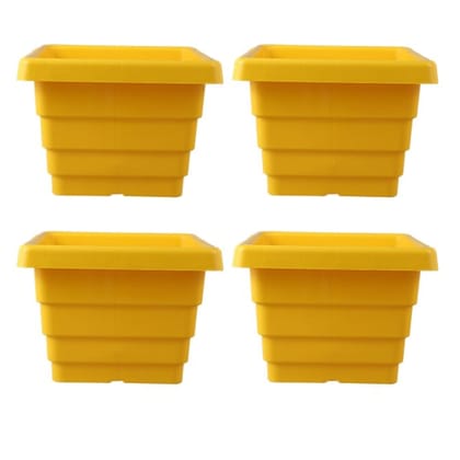 Buy Set of 04 - 4 Inch Yellow Premium Orchid Square Plastic Pot Online | Urvann.com