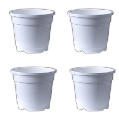 Buy Set of 04 - 4 Inch White Nursery Pot Online | Urvann.com