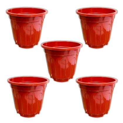 Buy Set of 05 - 6 Inch Red Super Nursery Pot Online | Urvann.com