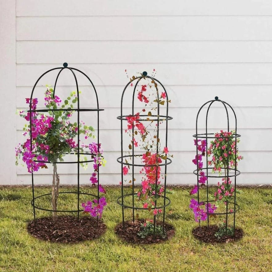 Set of 3 - Black Plant Supporter Plant Stand ( 62 X 30, 58 X 26, 54 X 19  Cm) | Anti Rust Powder Coated | Climber & Creeper Support Stand