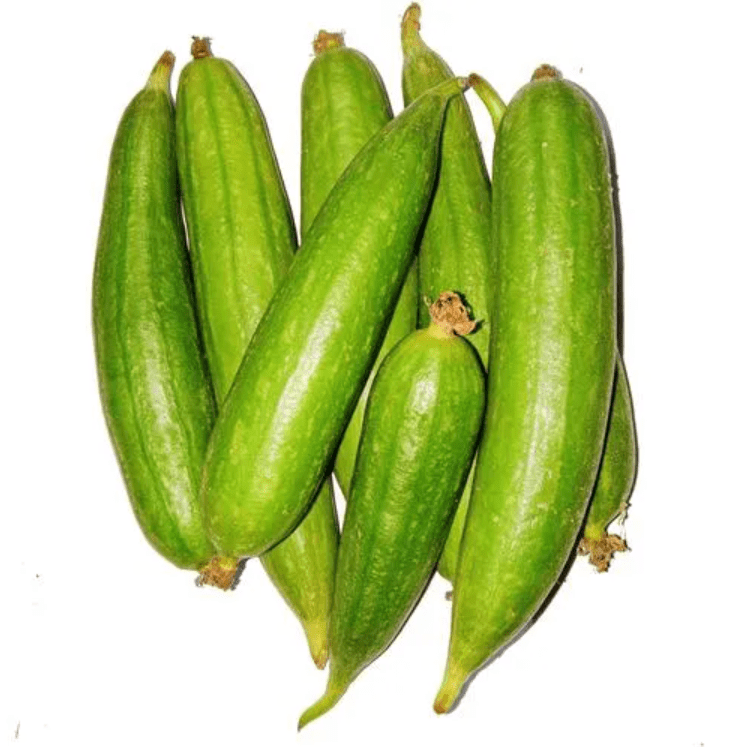 Ridge Gourd / Dhari Tori Seeds - Excellent Germination