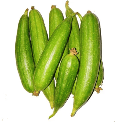 Buy Ridge Gourd / Dhari Tori Seeds - Excellent Germination Online | Urvann.com