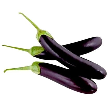 Buy Brinjal Long Seeds - Excellent Germination Online | Urvann.com