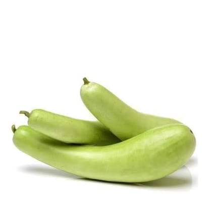 Buy Bottle gourd / Lauki Long Green Seeds - Excellent Germination Online | Urvann.com