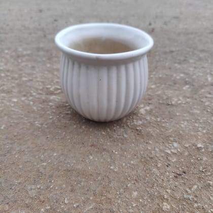 Buy 5 Inch White Classy Flower Designer Ceramic Pot Online | Urvann.com