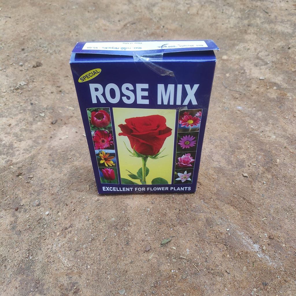 Rose Mix - 500 Gm