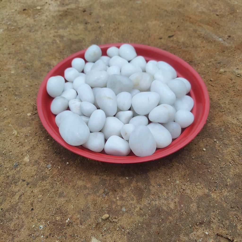 Decorative White Pebbles - 1 Kg