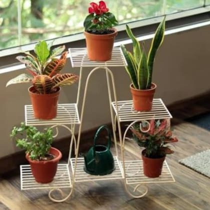 Buy 31 x 10 x 36 Inch White Six Tier Plant Stand - 1 pcs Online | Urvann.com