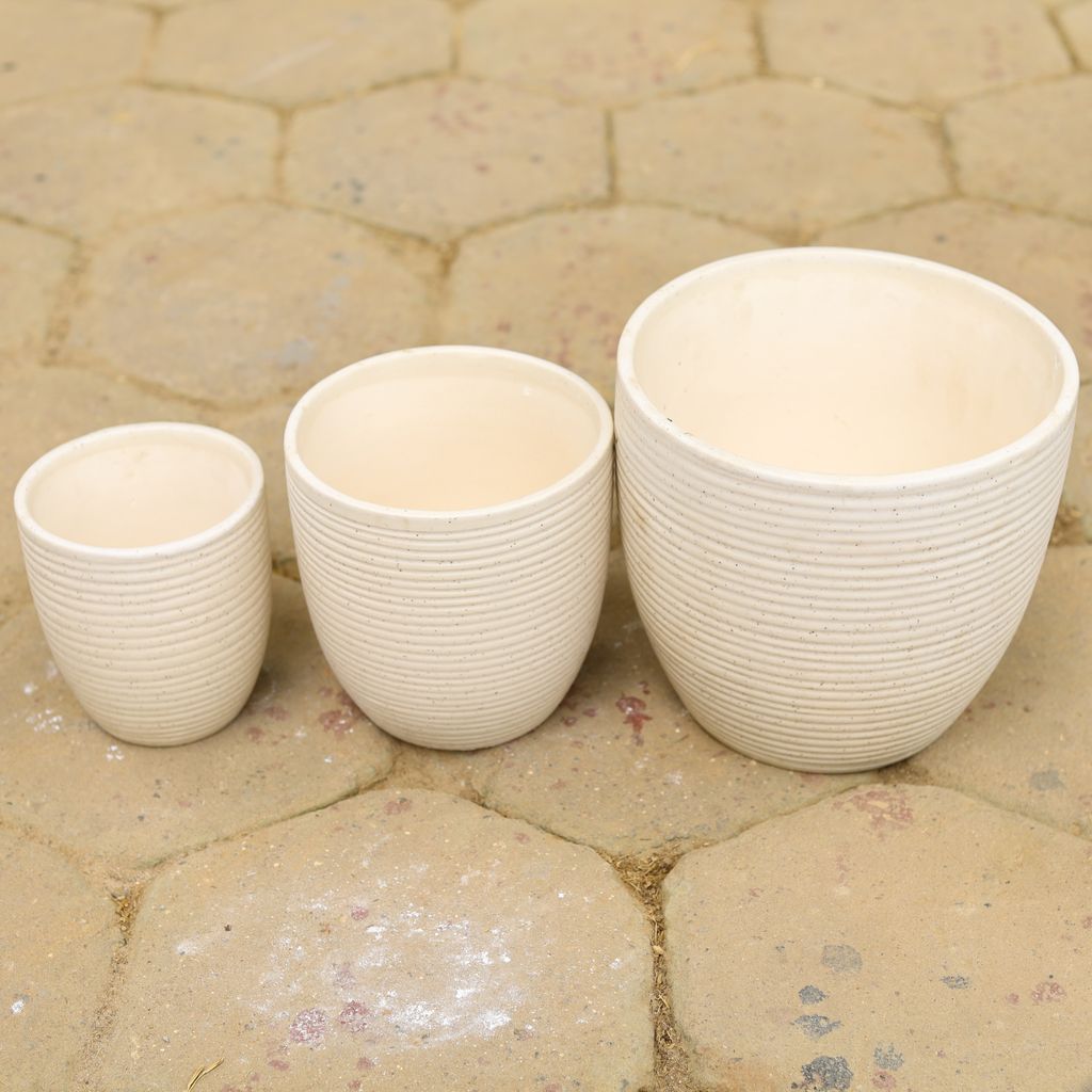 Set of 3 - (5,6 & 8 Inch) White Ring Designer Cup Shape Ceramic Pot,Pots:Ceramic Planters:Royal Ceramic Pots