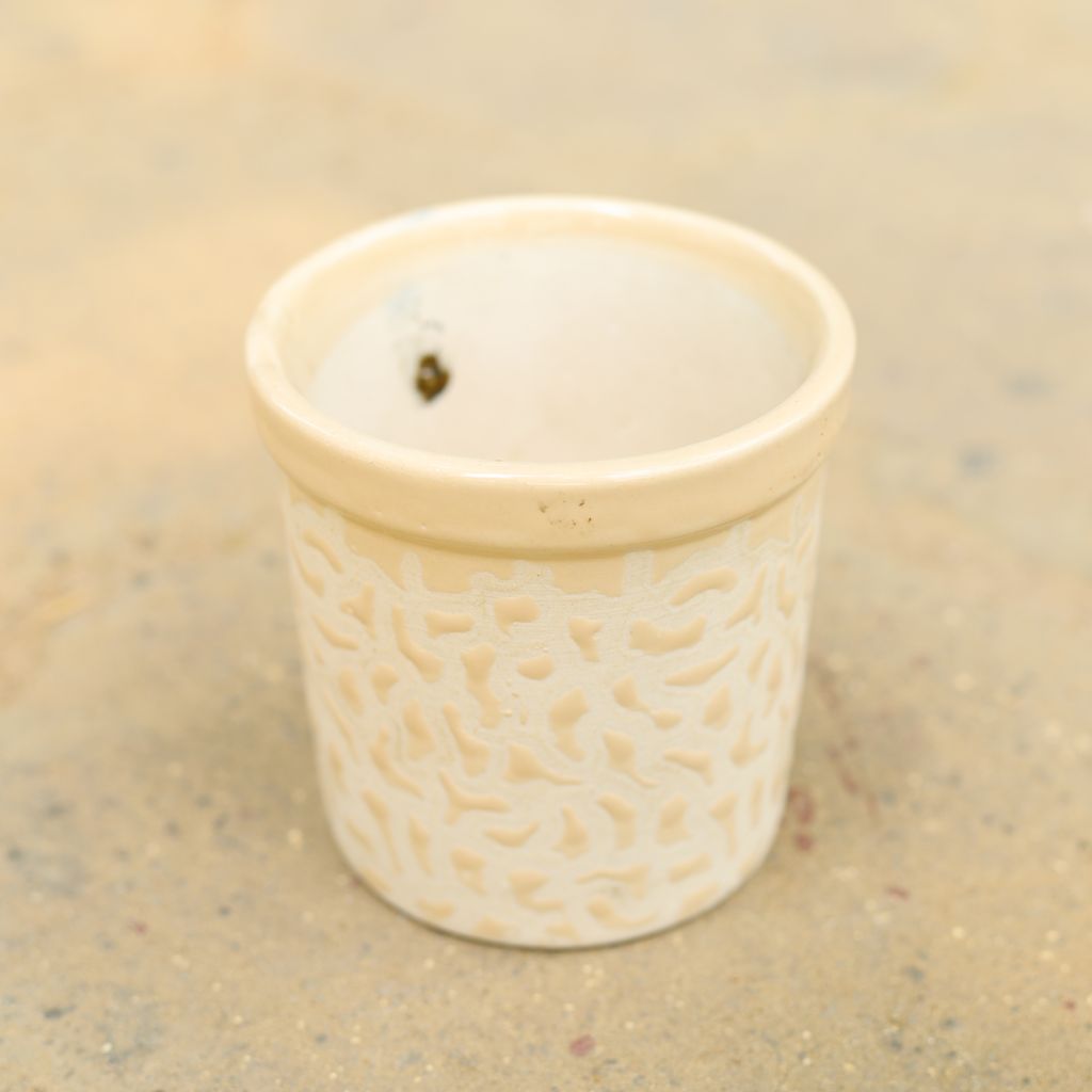 4 Inch Classy Beige Designer Cylindrical Ceramic Pot (any design)