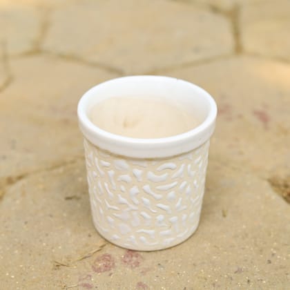 Buy 4 Inch Classy White Designer Cylindrical Ceramic Pot (any design) Online | Urvann.com